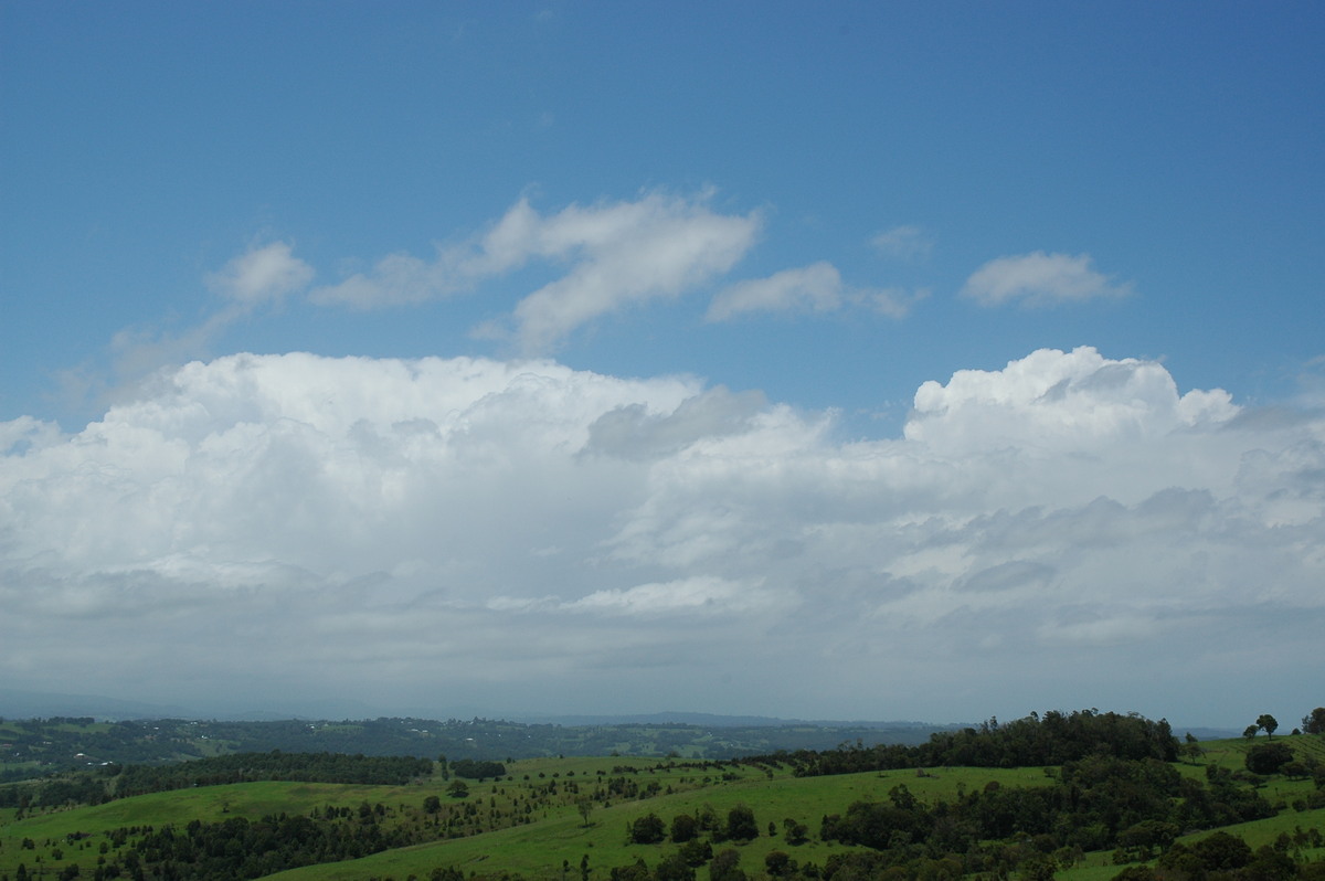 thunderstorm cumulonimbus_calvus : McLeans Ridges, NSW   28 December 2004