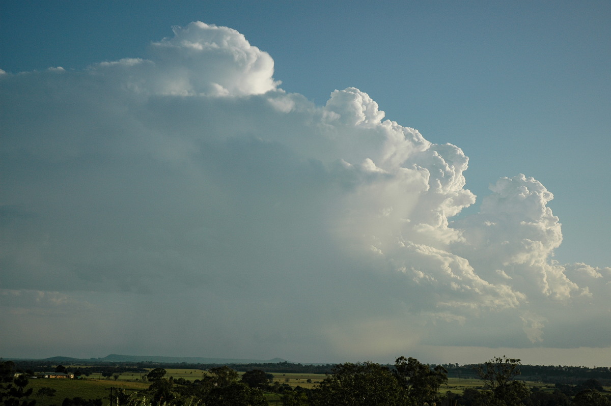thunderstorm cumulonimbus_calvus : S of Lismore, NSW   21 January 2005