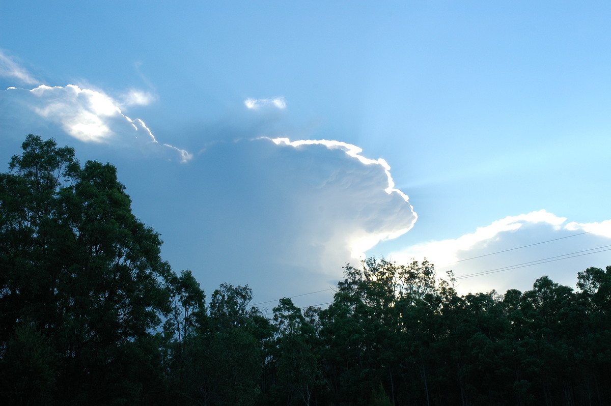 anvil thunderstorm_anvils : Whiporie, NSW   2 February 2005