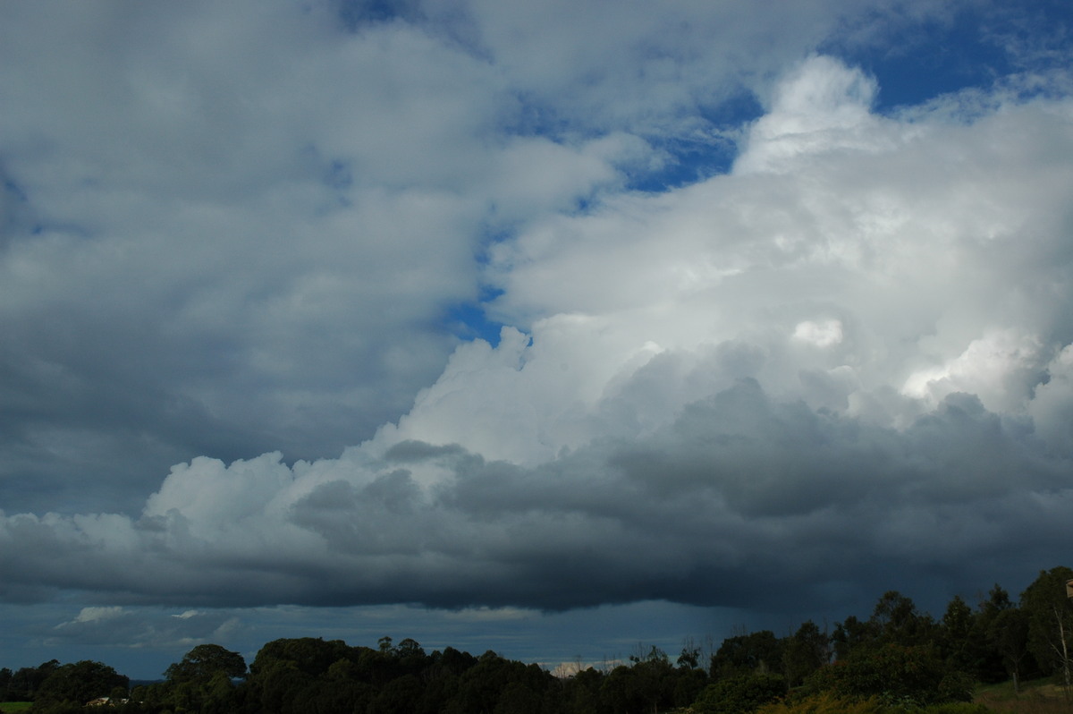 thunderstorm cumulonimbus_calvus : McLeans Ridges, NSW   26 April 2005