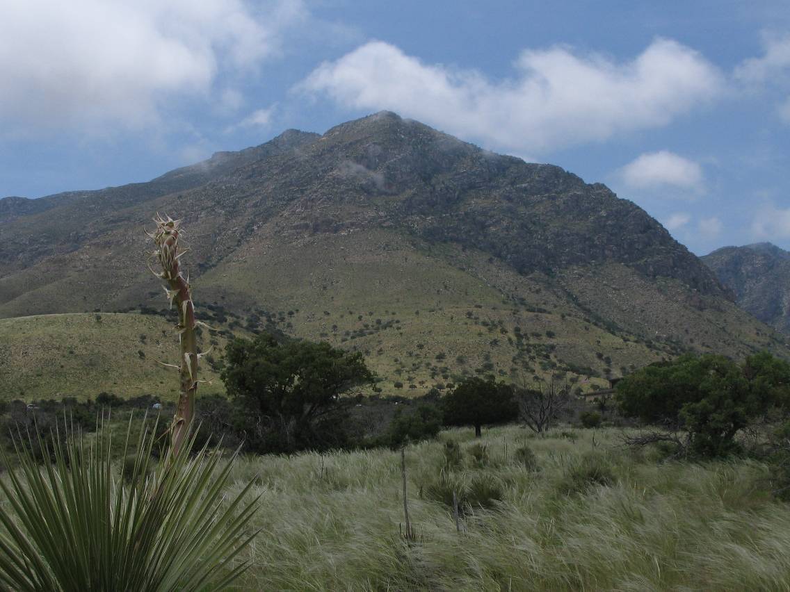 favourites jimmy_deguara : Guadalupe Nountains National Park, Texas, USA   15 May 2005