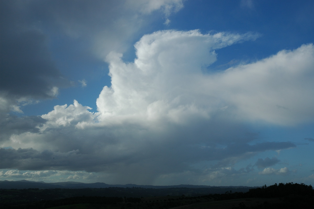 thunderstorm cumulonimbus_calvus : McLeans Ridges, NSW   18 May 2005