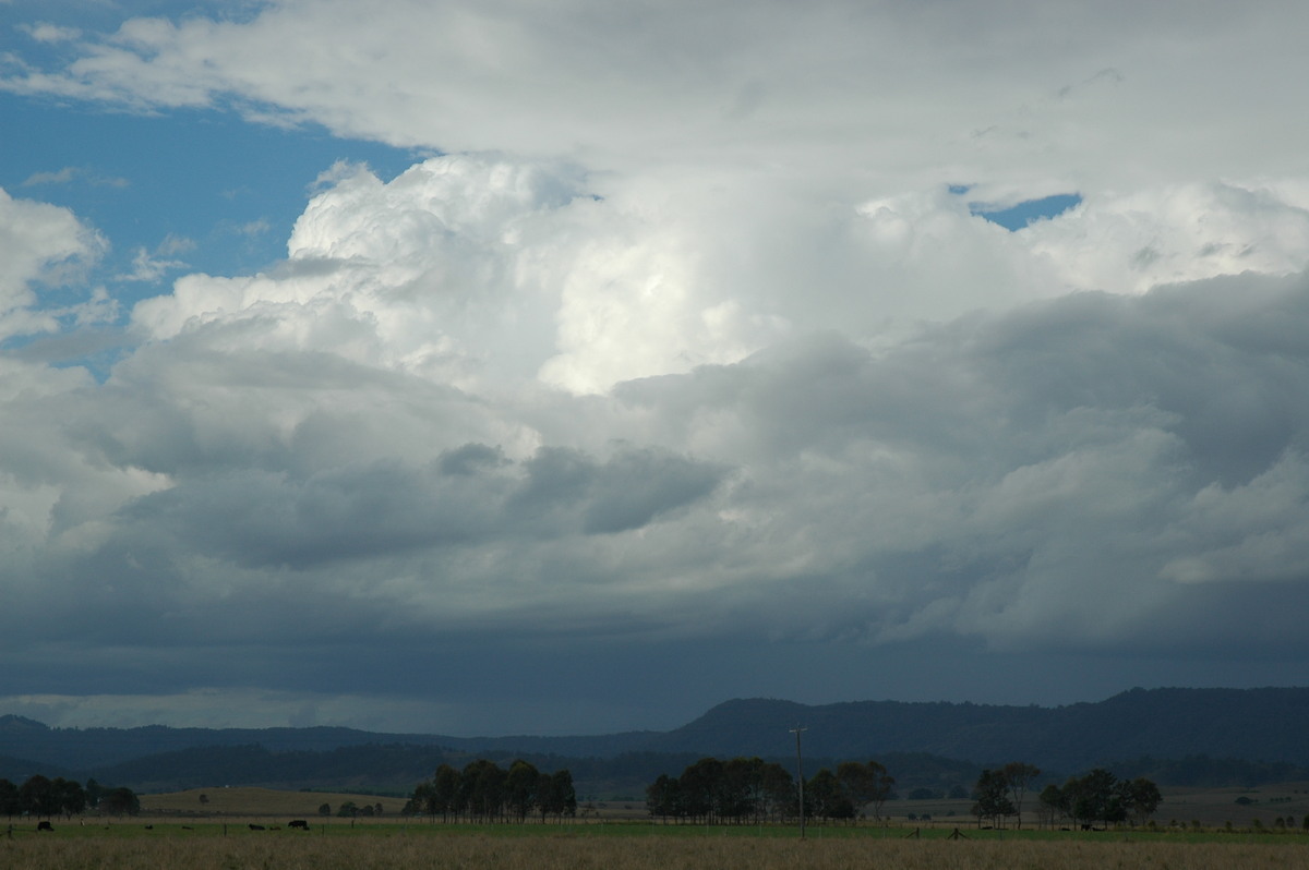 thunderstorm cumulonimbus_calvus : N of Casino, NSW   2 September 2005