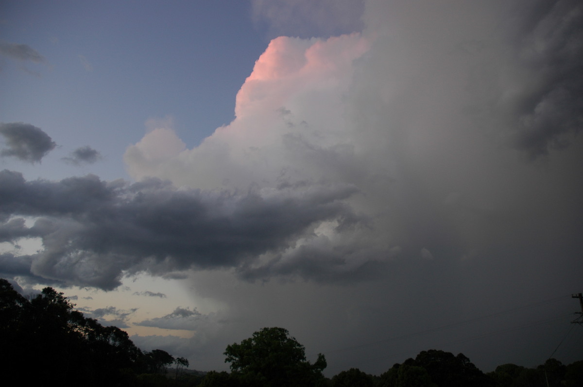 thunderstorm cumulonimbus_calvus : near Alstonville, NSW   4 September 2005