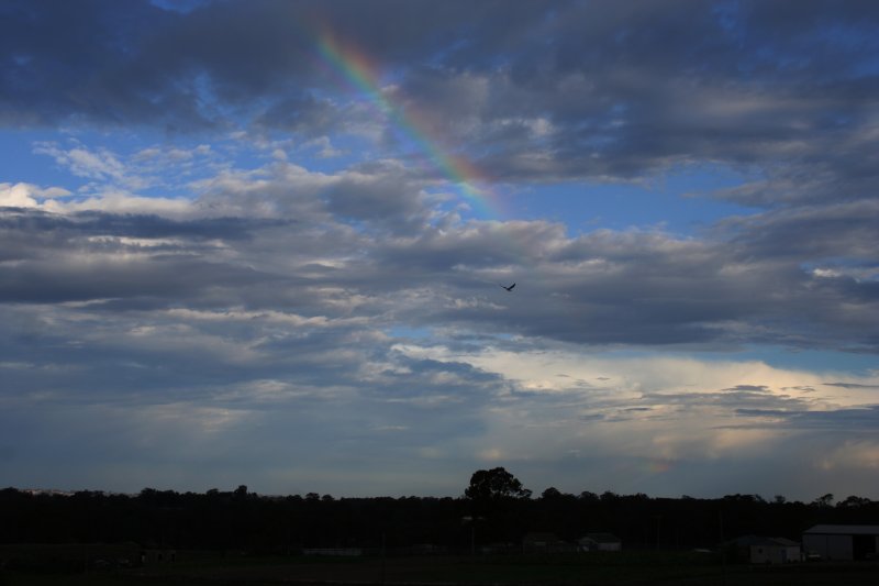 rainbow rainbow_pictures : Schofields, NSW   22 October 2005