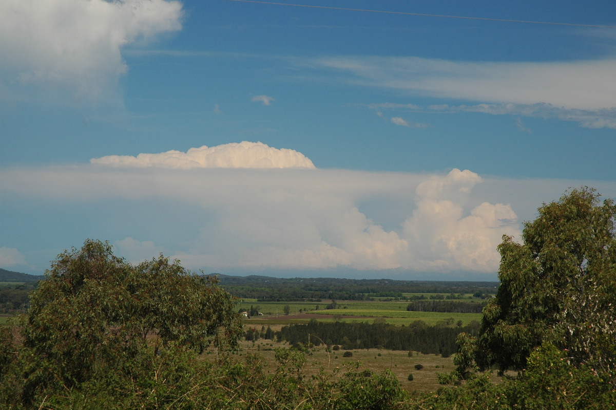 thunderstorm cumulonimbus_incus : Kyogle, NSW   22 October 2005