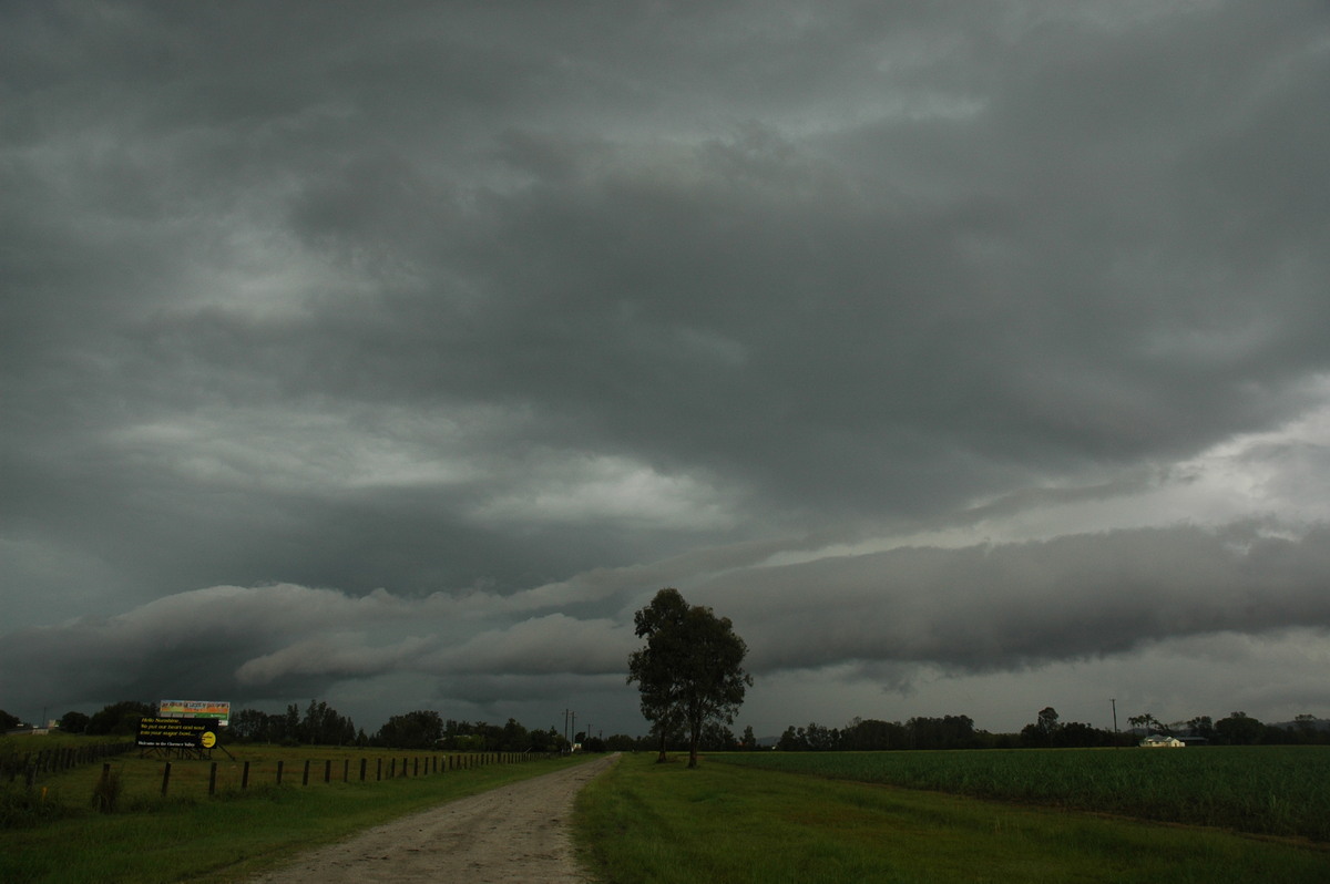 rollcloud roll_cloud : near Maclean, NSW   1 December 2005