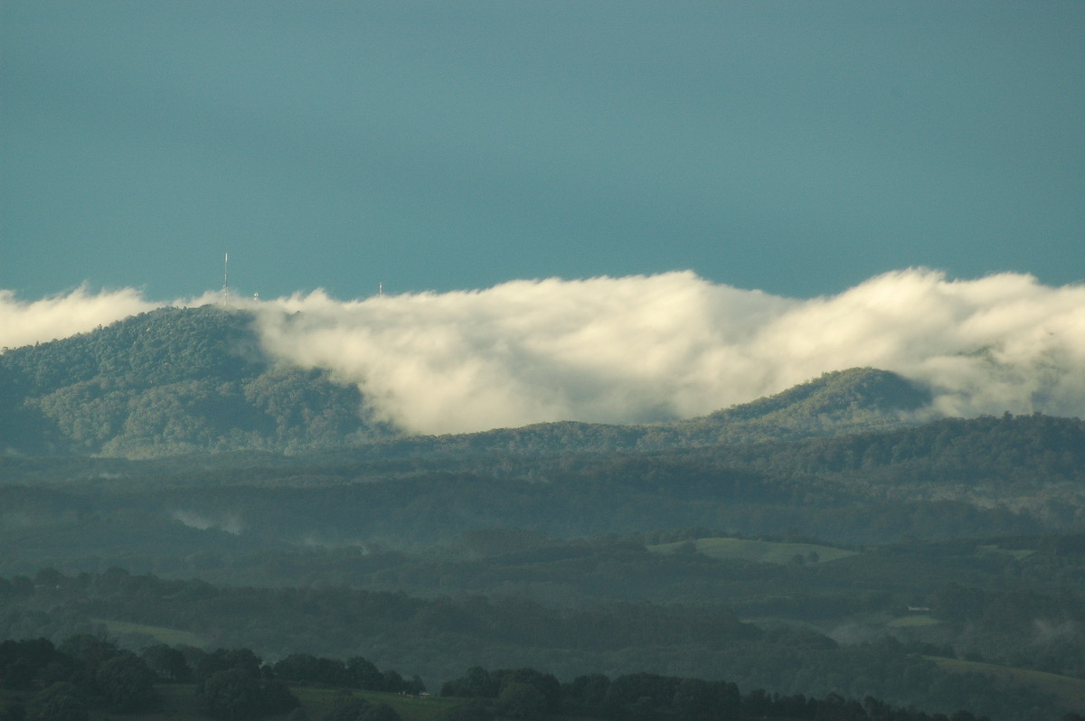 fogmist fog_mist_frost : McLeans Ridges, NSW   8 December 2005