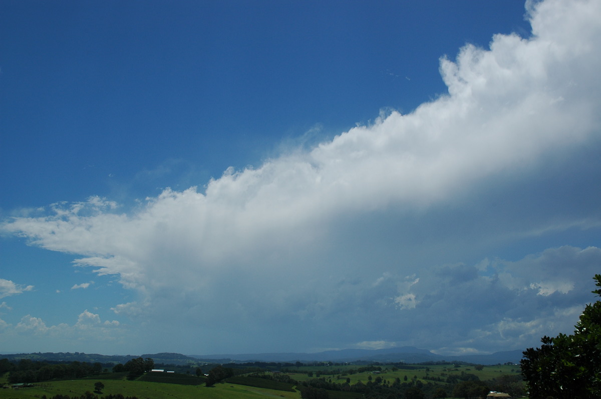 thunderstorm cumulonimbus_incus : Saint Helena, NSW   9 December 2005