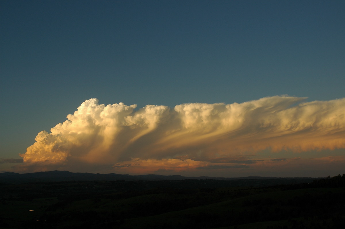 thunderstorm cumulonimbus_incus : McLeans Ridges, NSW   17 December 2005