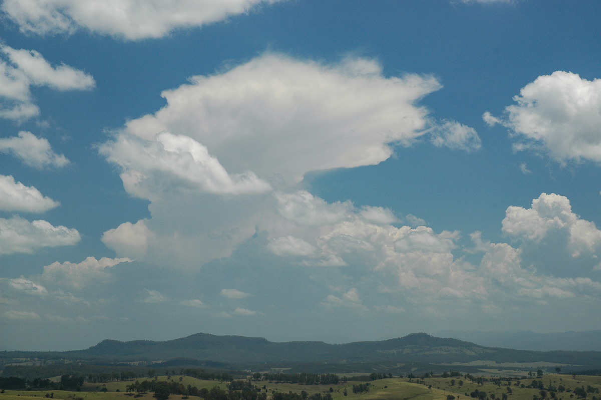 thunderstorm cumulonimbus_incus : Mallanganee NSW   27 December 2005