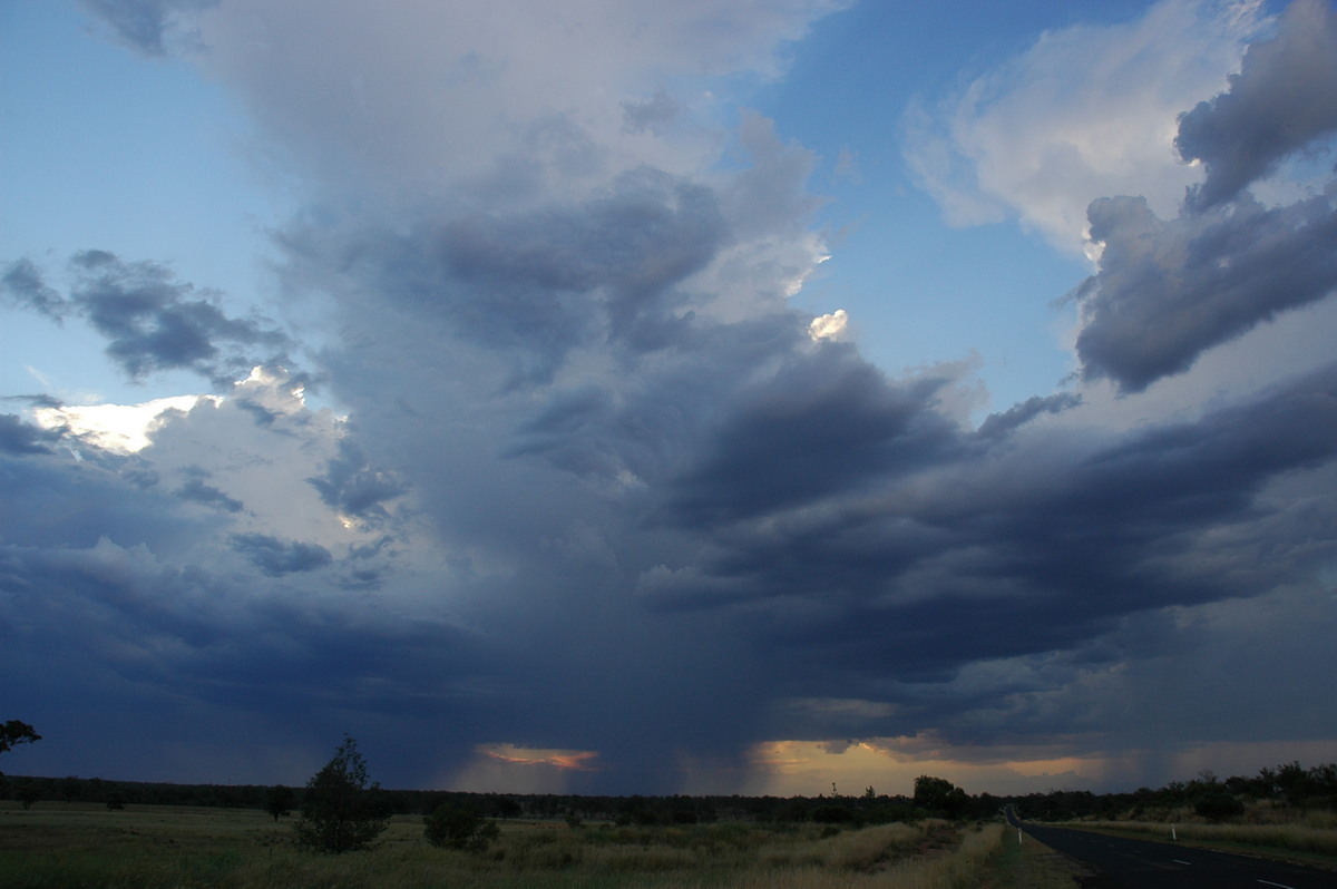 thunderstorm cumulonimbus_incus : near Bonshaw, NSW   4 February 2006