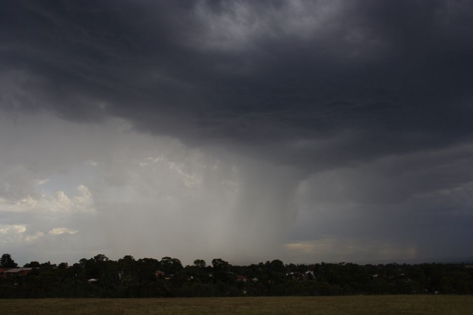 raincascade precipitation_cascade : Rooty Hill, NSW   18 February 2006