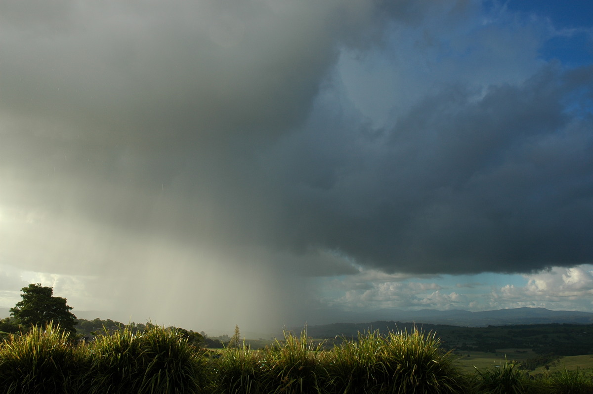 raincascade precipitation_cascade : McLeans Ridges, NSW   22 February 2006