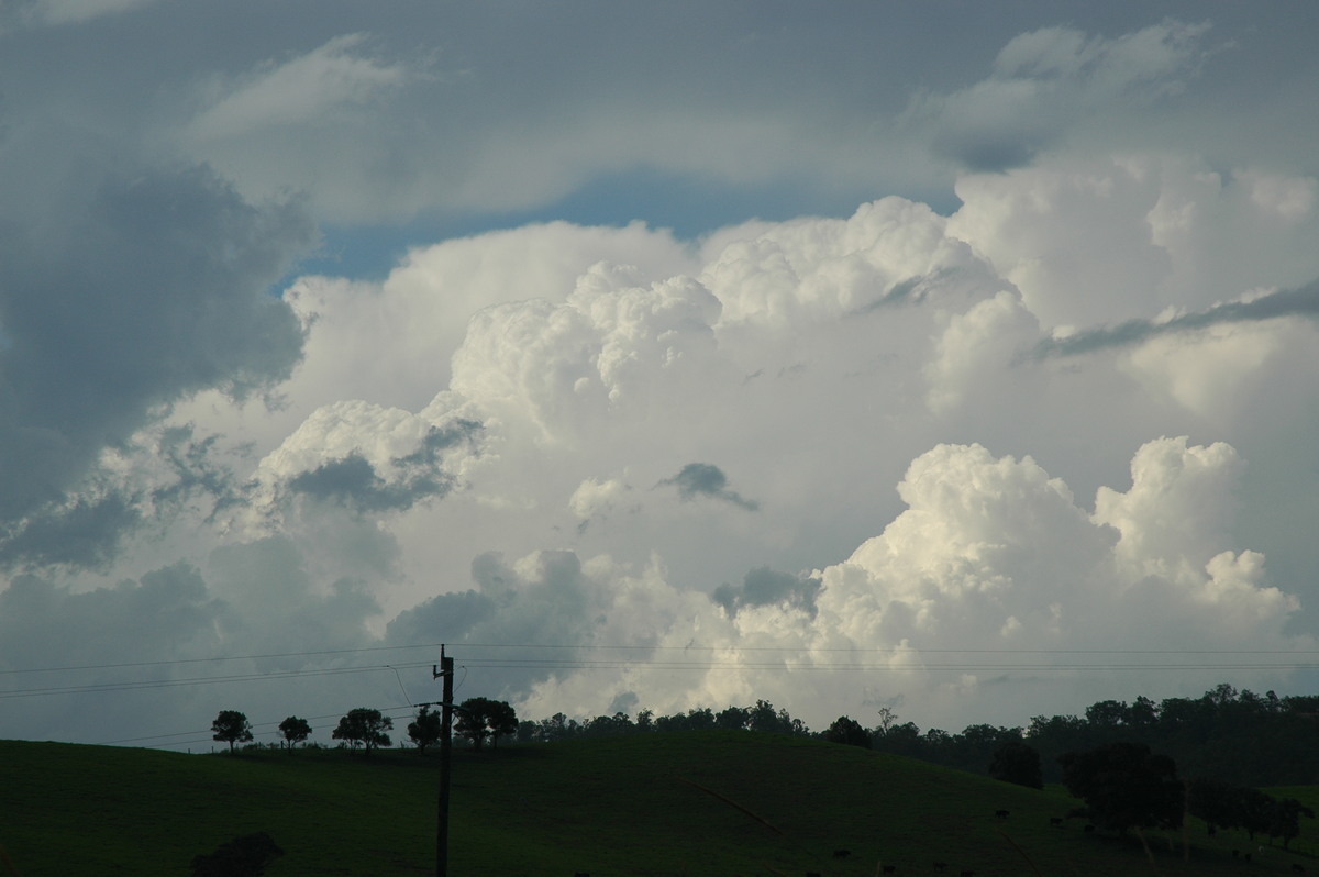 thunderstorm cumulonimbus_calvus : near Kyogle, NSW   21 April 2006