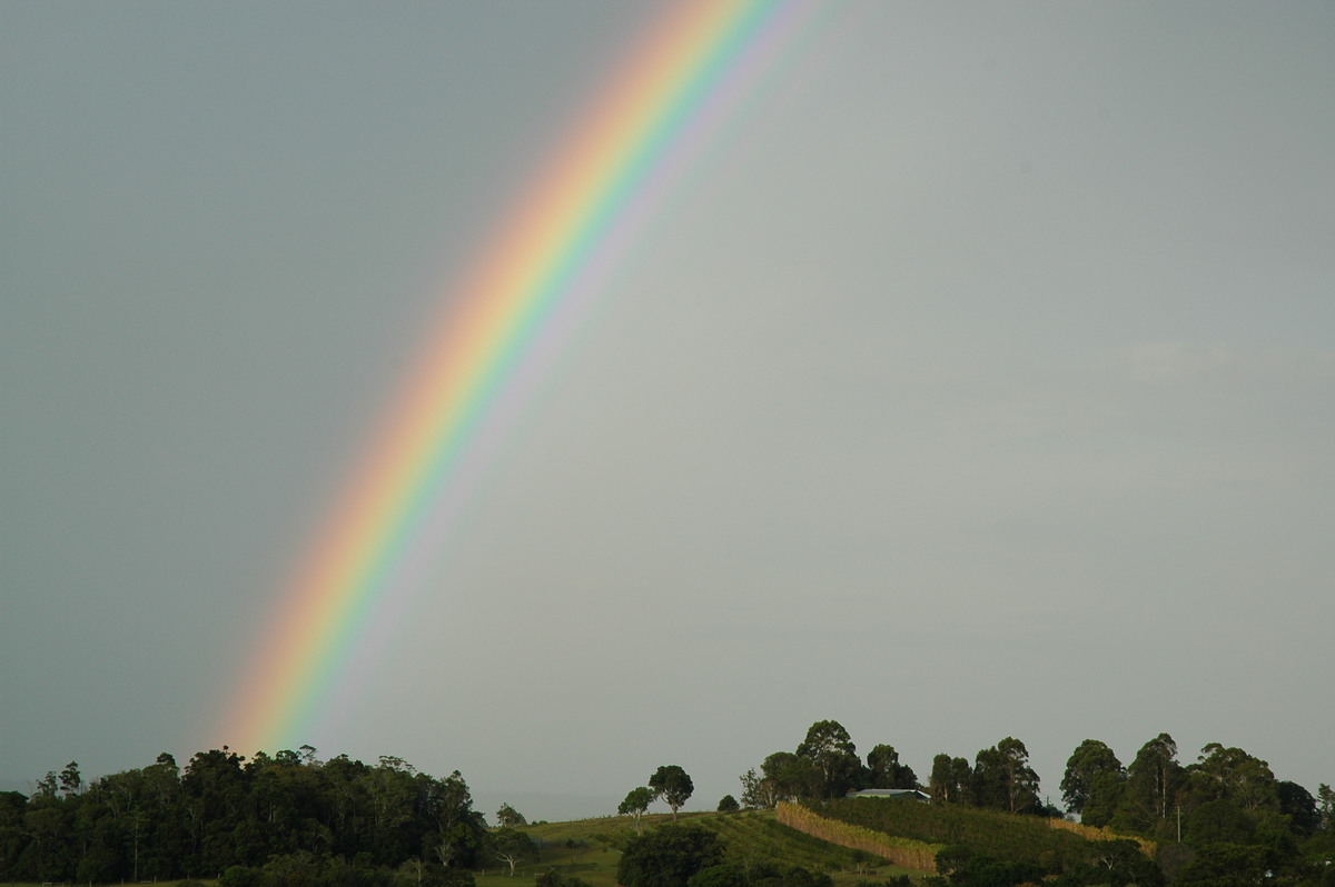 rainbow rainbow_pictures : McLeans Ridges, NSW   14 December 2006
