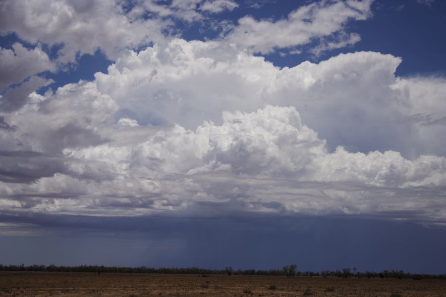 thunderstorm cumulonimbus_incus : ~20km N of Barringun, NSW   2 January 2007