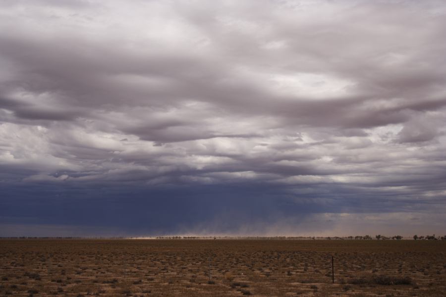 cumulonimbus thunderstorm_base : ~30km N of Barringun, NSW   2 January 2007