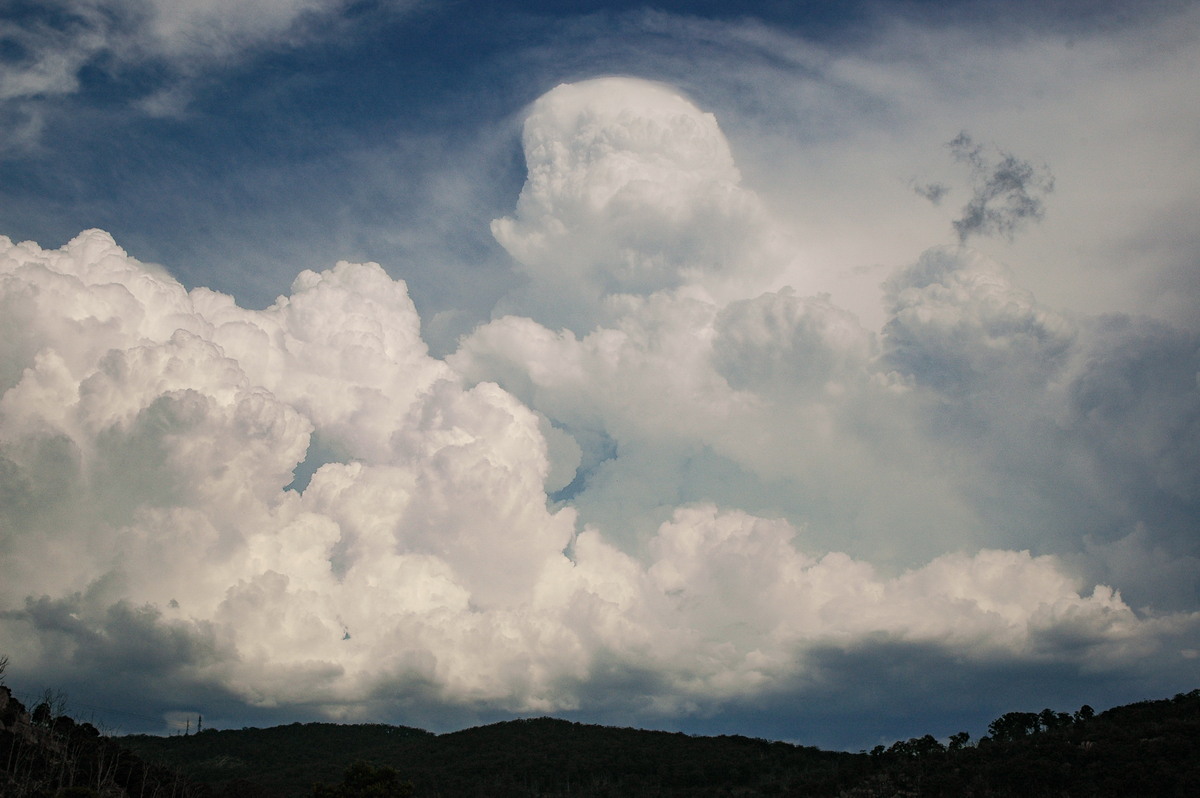 thunderstorm cumulonimbus_calvus : Tenterfield, NSW   12 January 2007