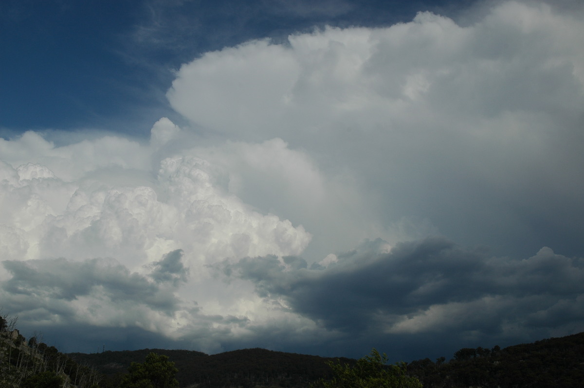 thunderstorm cumulonimbus_incus : Tenterfield, NSW   12 January 2007