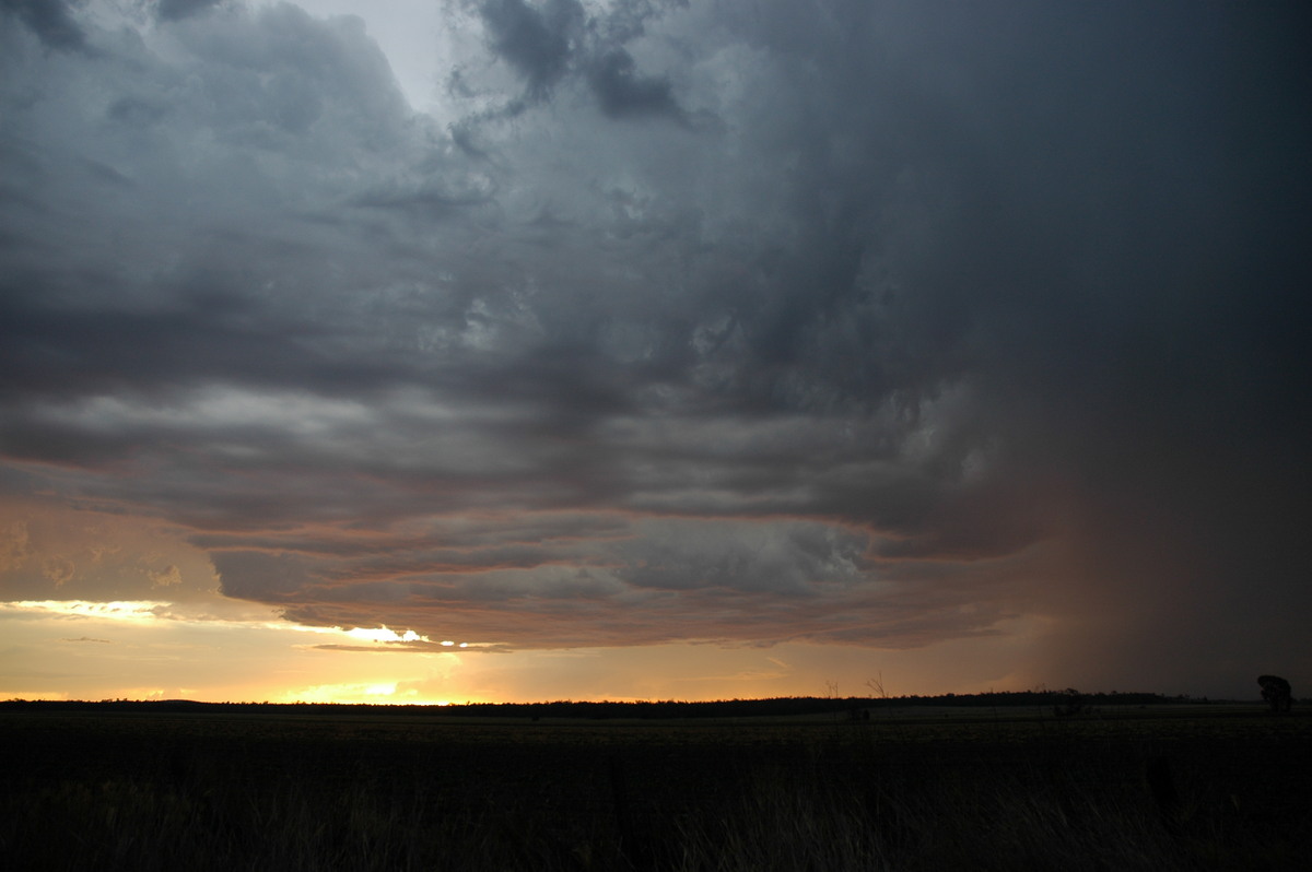cumulonimbus thunderstorm_base : near Milmerran, QLD   13 January 2007