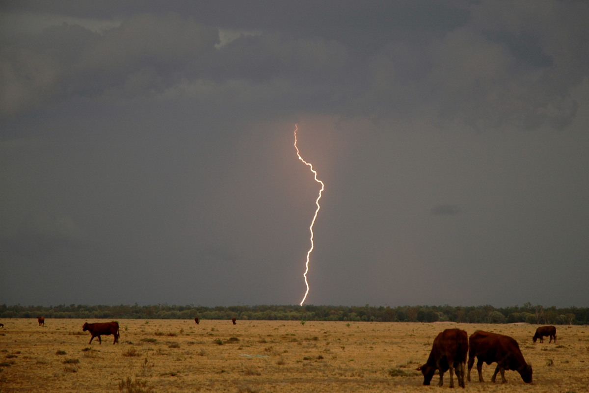 lightning lightning_bolts : N of Goodiwindi, QLD   14 January 2007