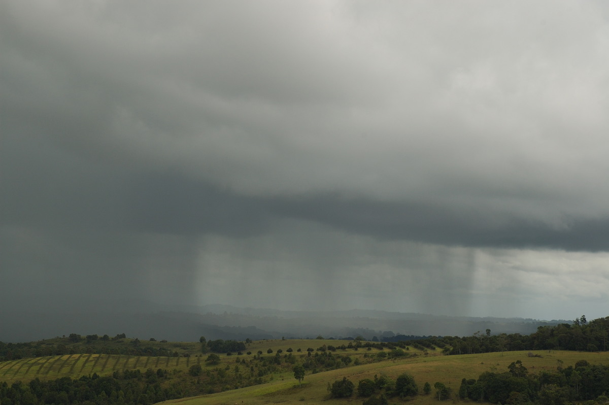 raincascade precipitation_cascade : McLeans Ridges, NSW   13 February 2007
