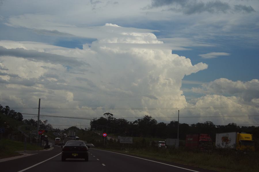thunderstorm cumulonimbus_calvus : Cecil Hills, NSW   1 March 2007