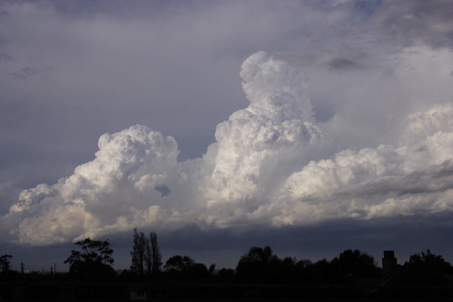 thunderstorm cumulonimbus_calvus : near Sutherland, NSW   8 March 2007
