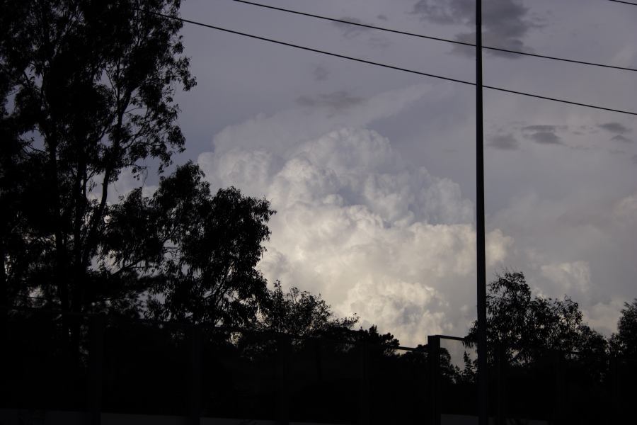 thunderstorm cumulonimbus_calvus : near Padstow, NSW   8 March 2007