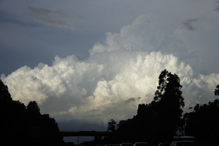 updraft thunderstorm_updrafts : near Padstow, NSW   8 March 2007