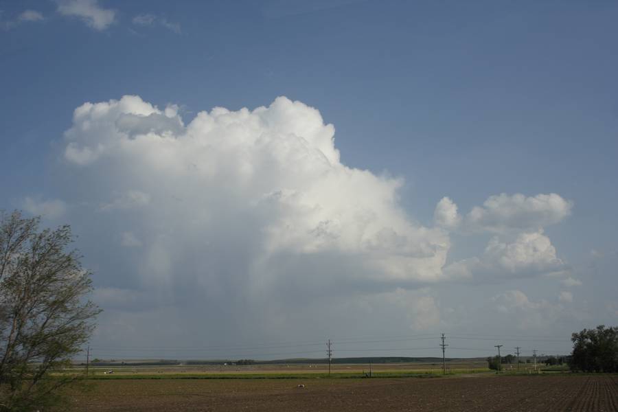 thunderstorm cumulonimbus_calvus : near Ogallala, Nebraska, USA   16 May 2007