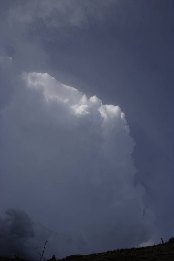 thunderstorm cumulonimbus_calvus : S of Roundup, Montana, USA   19 May 2007