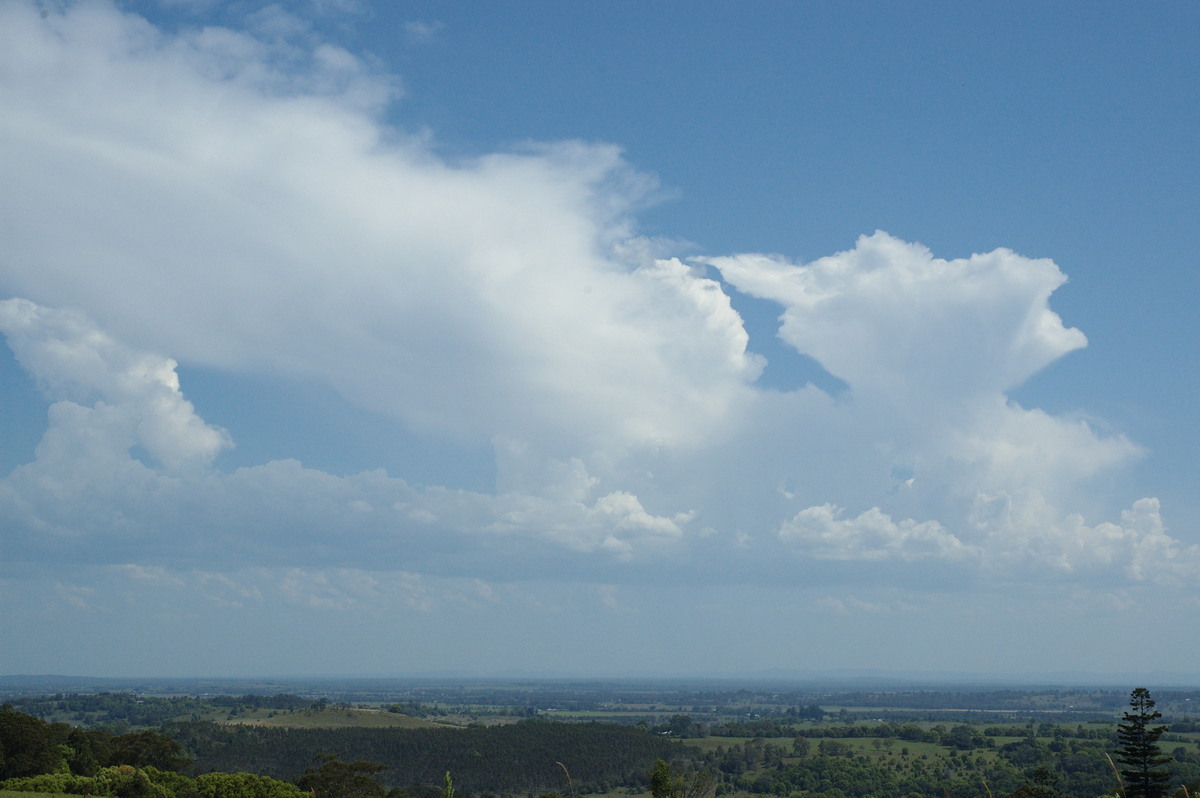 thunderstorm cumulonimbus_calvus : Tregeagle, NSW   6 October 2007