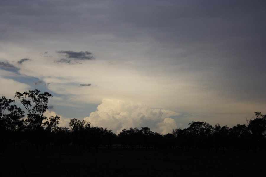 thunderstorm cumulonimbus_incus : near North Star, NSW   31 October 2007