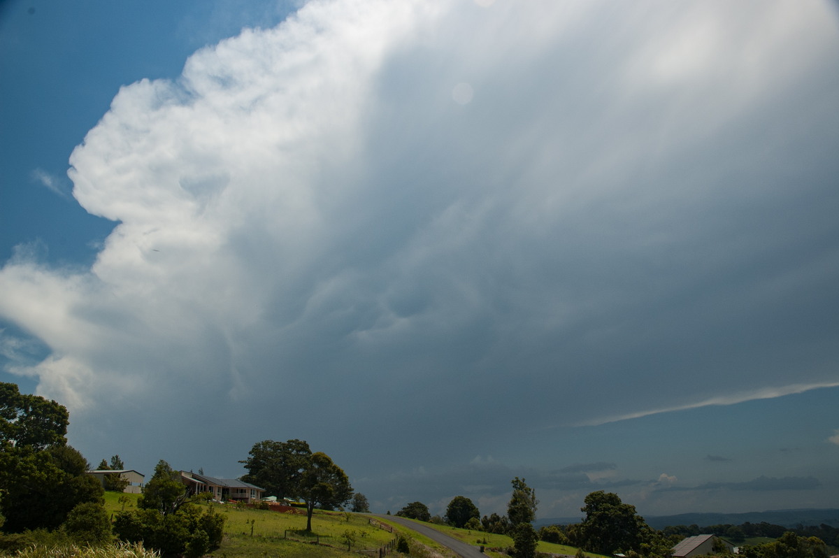 thunderstorm cumulonimbus_incus : McLeans Ridges, NSW   31 October 2007