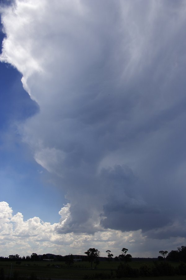 thunderstorm cumulonimbus_incus : near Berrima, NSW   17 November 2007