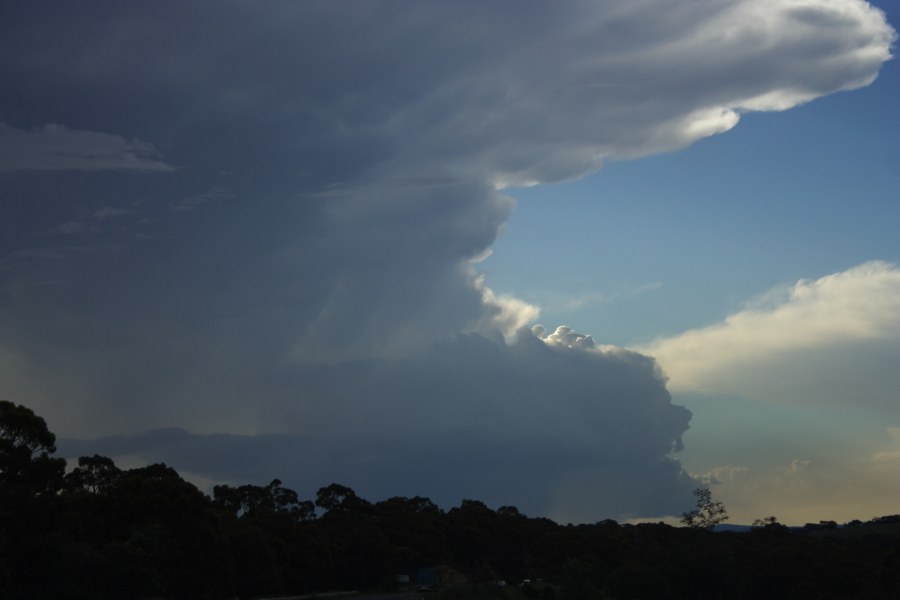 anvil thunderstorm_anvils : E of Bathurst, NSW   7 December 2007