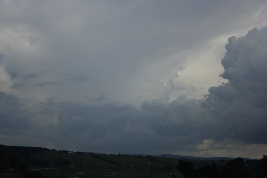 anvil thunderstorm_anvils : near Lithgow, NSW   8 December 2007