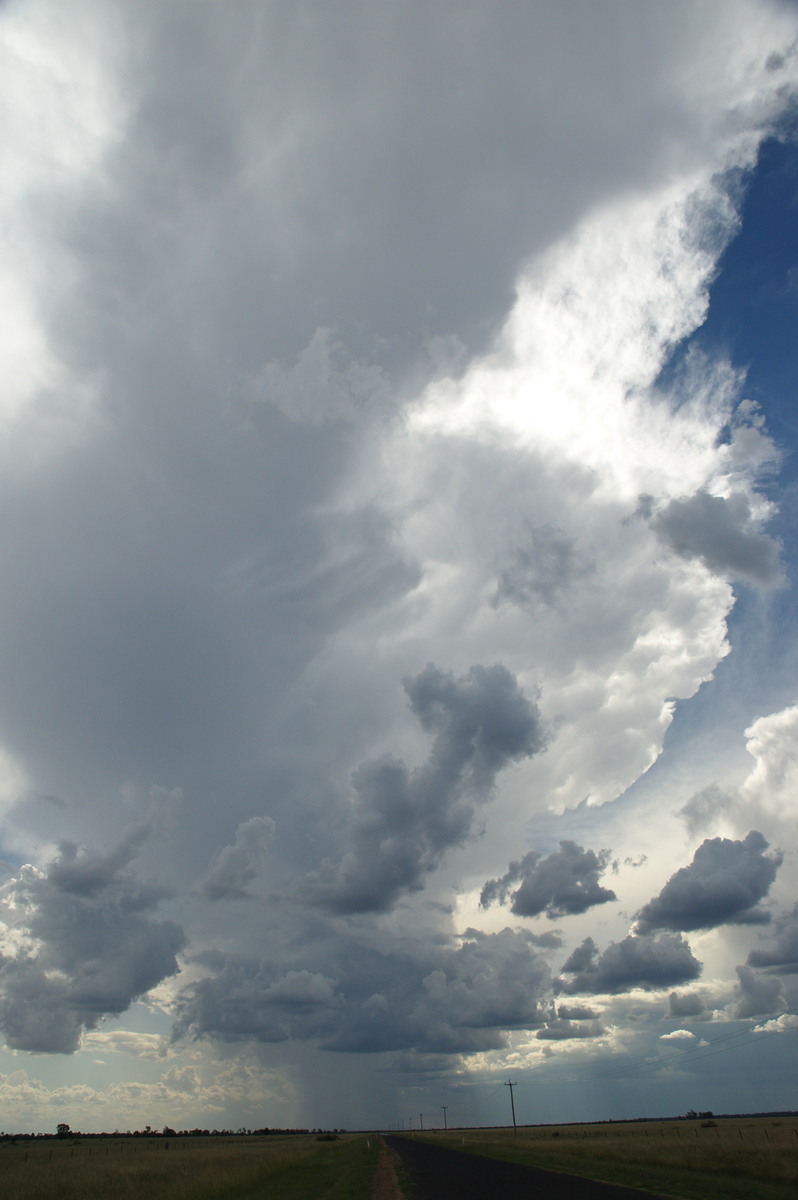 thunderstorm cumulonimbus_incus : W of Goondiwindi, QLD   9 December 2007