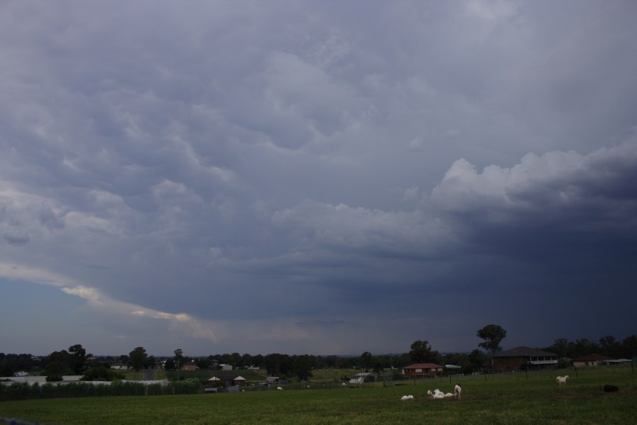 anvil thunderstorm_anvils : Schofields, NSW   13 January 2008