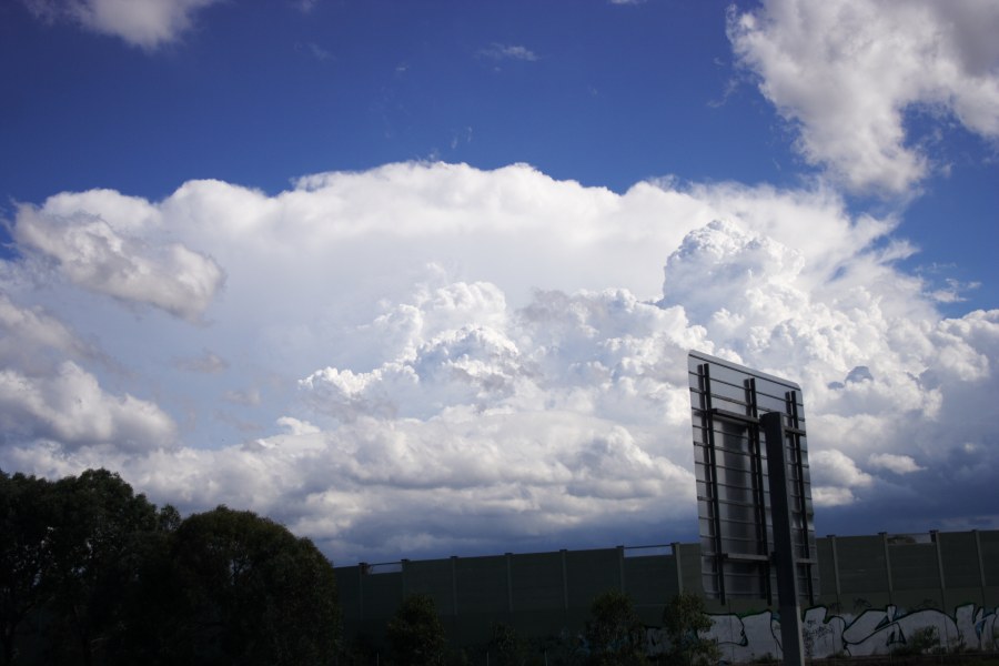 thunderstorm cumulonimbus_calvus : M4 Motorway, Prospect, NSW   20 January 2008