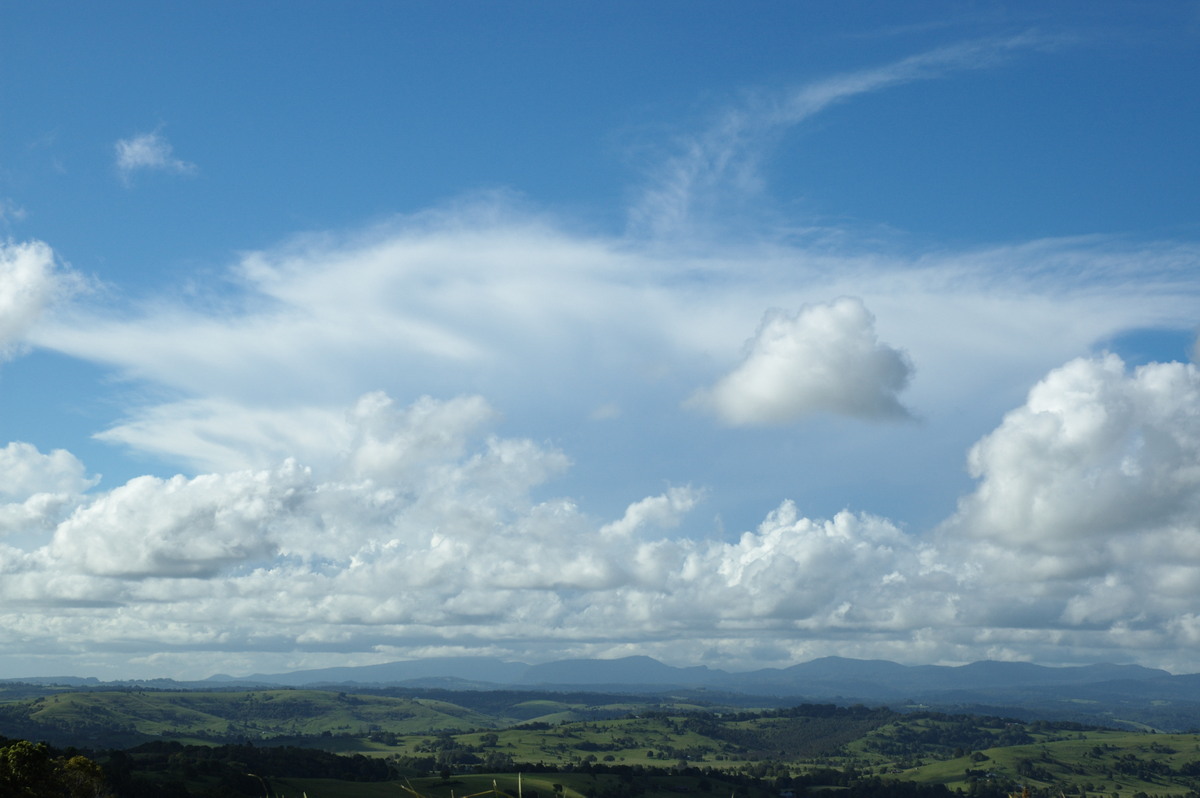 thunderstorm cumulonimbus_incus : McLeans Ridges, NSW   29 January 2008