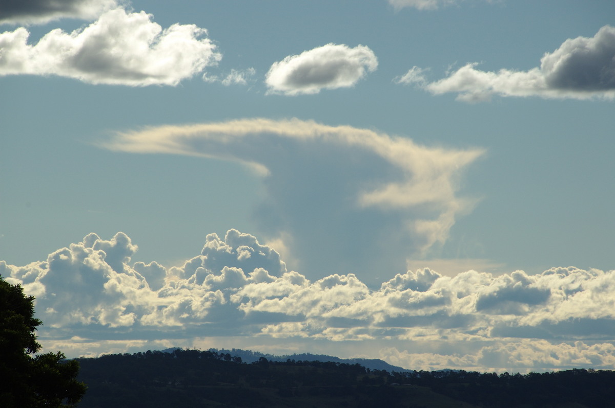cumulus mediocris : McLeans Ridges, NSW   24 April 2008