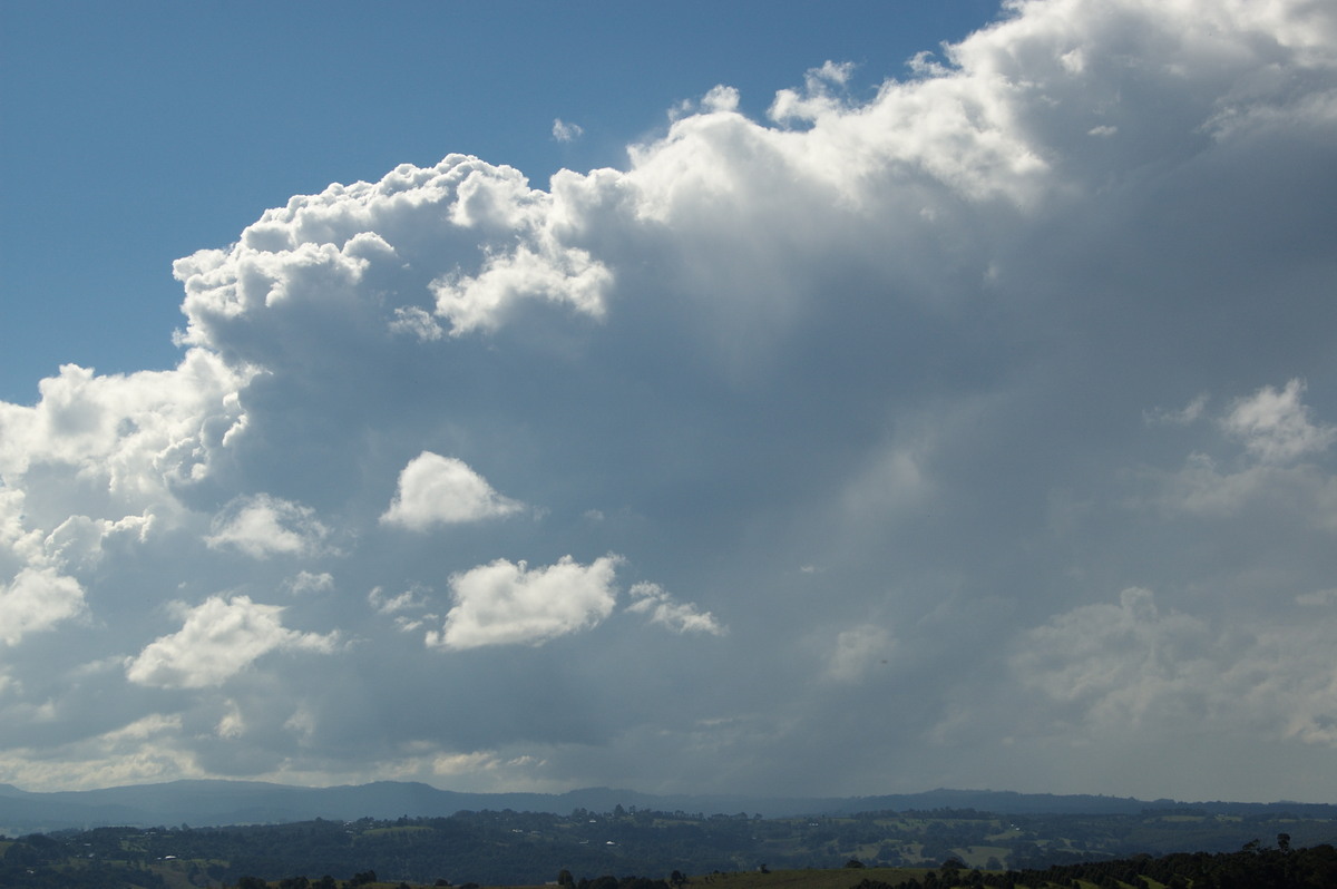 thunderstorm cumulonimbus_calvus : McLeans Ridges, NSW   4 June 2008