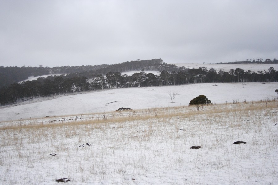 snow snow_pictures : N of Mt Trickett, NSW   10 August 2008