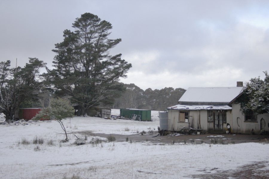 snow snow_pictures : Mt Bindo, NSW   10 August 2008