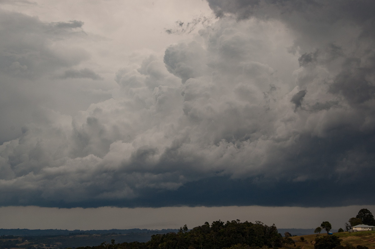 thunderstorm cumulonimbus_calvus : McLeans Ridges, NSW   27 August 2008