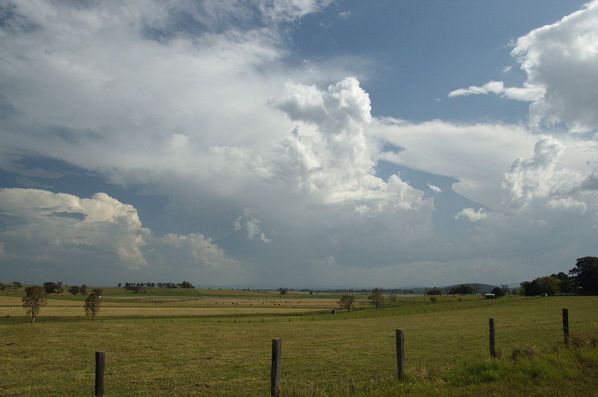 anvil thunderstorm_anvils : near Kyogle, NSW   20 September 2008