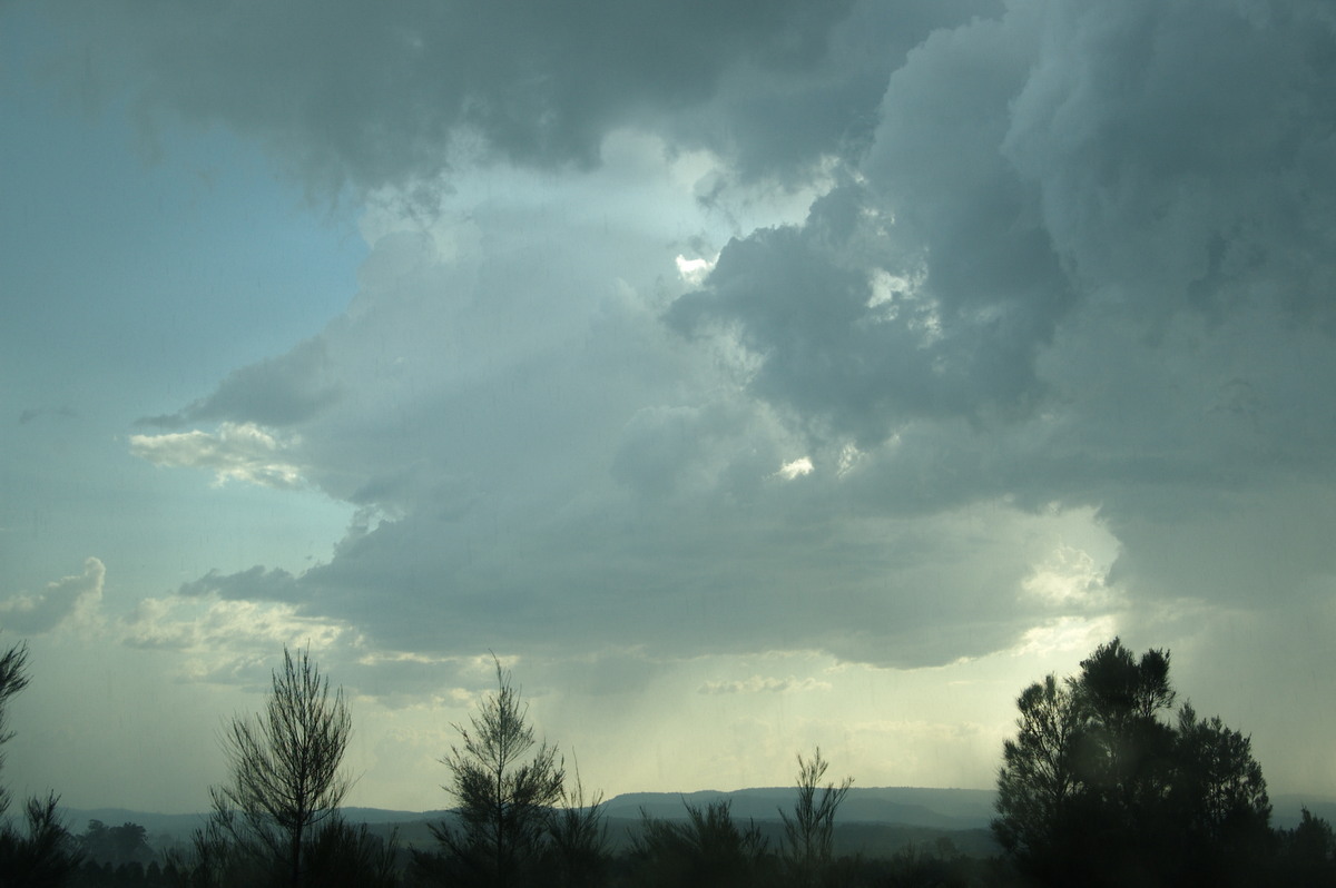 thunderstorm cumulonimbus_calvus : near Casino, NSW   20 September 2008